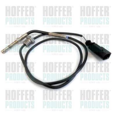 Sensor Exhaust Gas Temperature Hof Hoffer G Ap