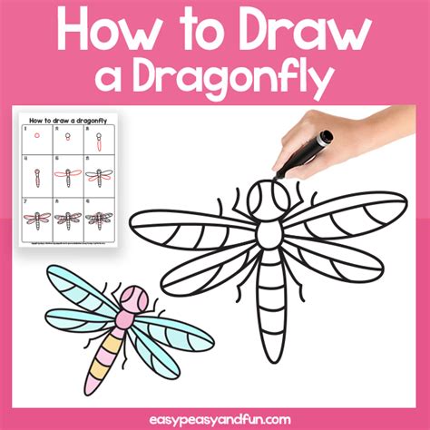 How To Draw A Dragonfly Step By Step For Beginners Infoupdate Org