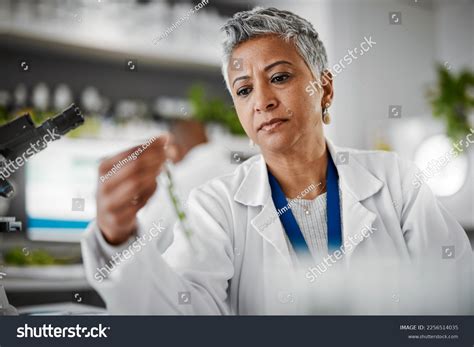 44 Sustainable Pharma Images Stock Photos Vectors Shutterstock