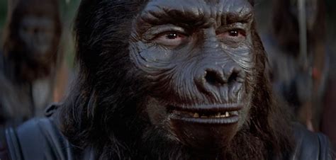 Archives Of The Apes Planet Of The Apes Apes Classic Films