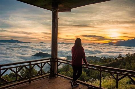 Potret Keindahan Pango Pango Agrowisata Paling Hits Di Tana Toraja