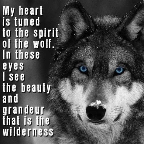 Pin By Dee M On Wolves Wolf Quotes Lone Wolf Quotes Warrior Quotes