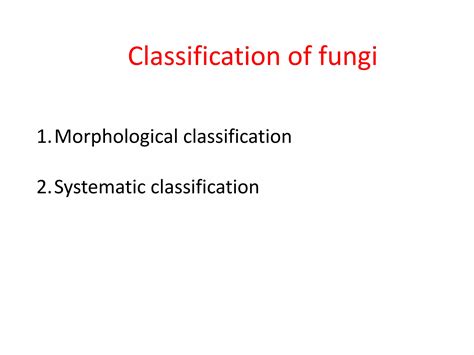 General Properties Of Fungi Ppt Free Download