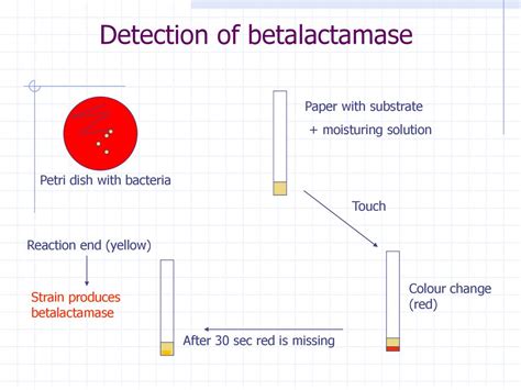 Antimicrobial therapy MUDr Lenka Černohorská Ph D ppt download