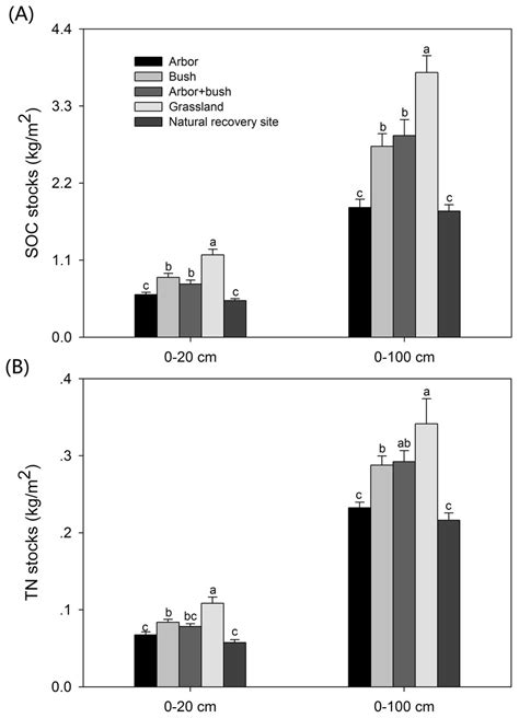 Revegetation Pattern Affecting Accumulation Of Organic Carbon And Total