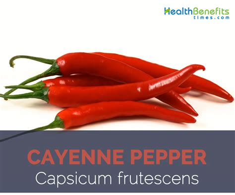 Cayenne Pepper Facts And Health Benefits