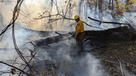 Firefighters Battle Brush Fire Near Reading Remind Citizens Of