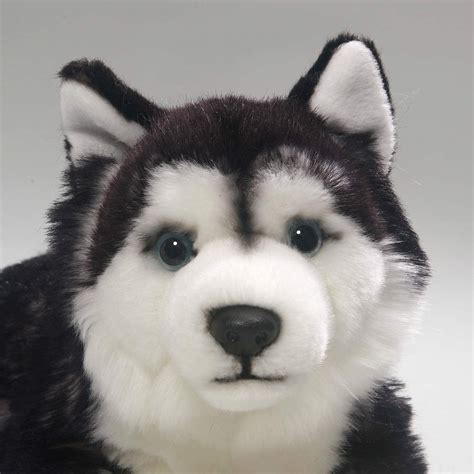 PELUCHE CHIEN HUSKY 28CM Peluches Pas Chères