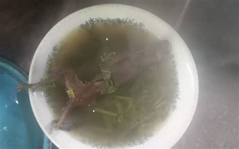 Caldo de rata El exótico platillo de los Altos de Chiapas El Heraldo