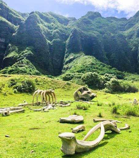 Kualoa Ranch Jurassic Park Of Hawaii Review — Adventure For Less In 2022 Oahu Vacation