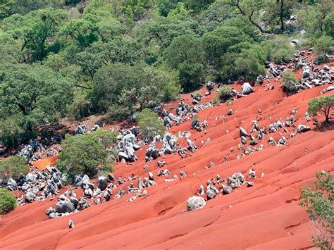 México Mágico Conoce Las Extrañas Dunas Rojas De Pacula Hidalgo