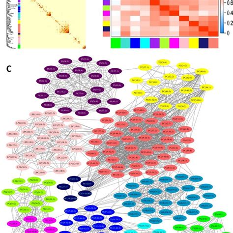 Weighted Gene Co Expression Network Analysis Wgcna Of Phospholipid