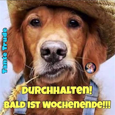 Bald Wochenende Bilder Lustig Gb Pics Gbpicsbilder