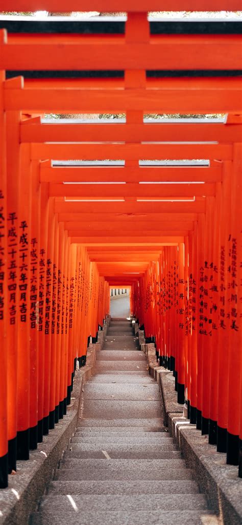 Tokyo City Geometric Gates In Vibrant Orange Colo Iphone Wallpapers