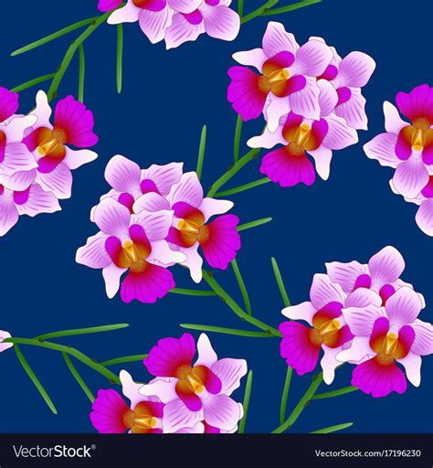 Vanda Miss Joaquim Orchid Singapore National Vector Image On Vectorstock