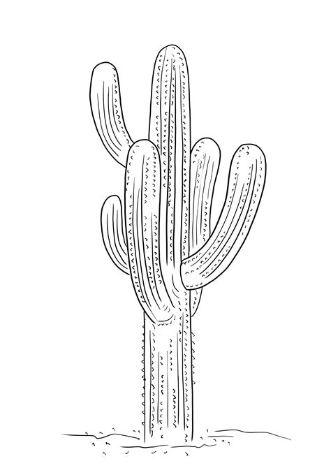 Saguaro Cactus Coloring Page