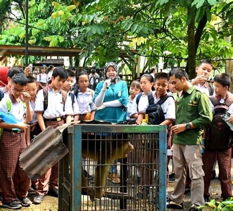 Edukasi Konservasi Di Balai Besar Ksda Riau Ditjen Konservasi Sumber