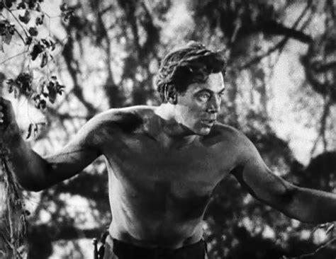 tarzan wikipedia