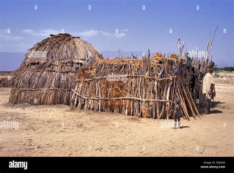 Stick House
