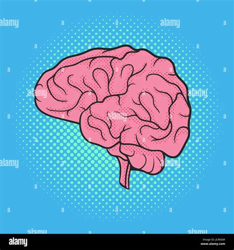 Brain Retro Line Illustration Vector The Eastside Image Library