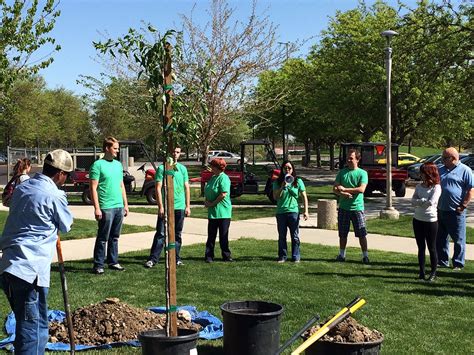 Tree Planting Event Grows Green Culture At Slcc Globeslcc