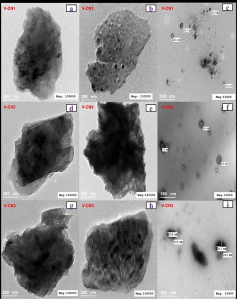 Tem Graphs Of The Scorpion Venom Loaded Chitosan Nanoparticles A B