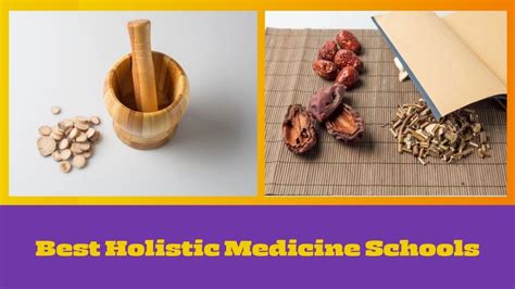 Best Holistic Medicine Schools - HelpToStudy.com