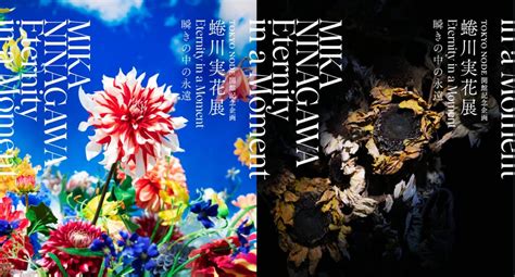 蜷川実花の大規模展覧会が虎ノ門ヒルズ内TOKYO NODEで開催 全て新作の14作品を展示