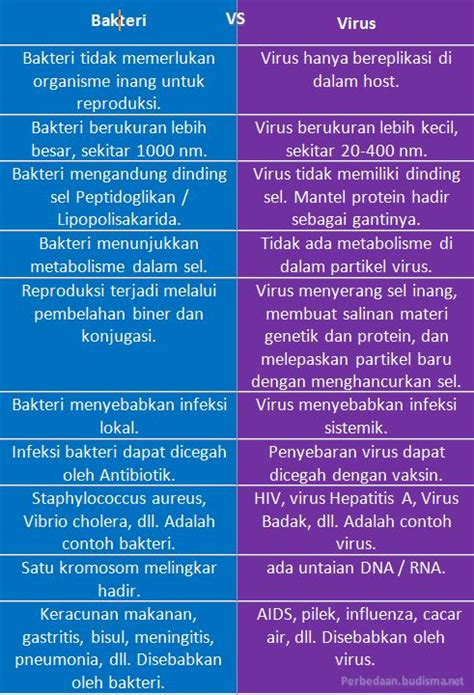 Perbedaan Bakteri Dan Virus