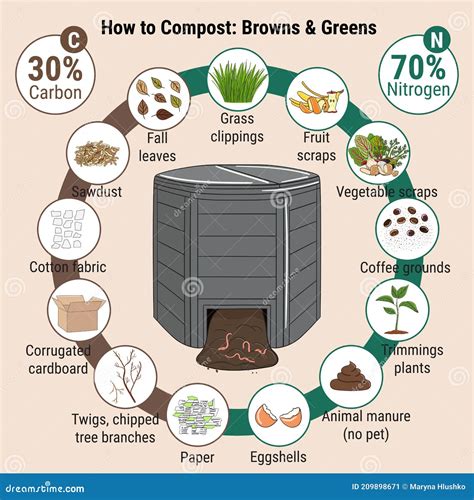 Infographic Of Garden Composting Bin With Scraps What To Compost