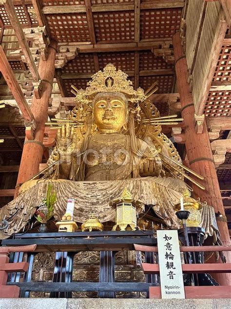 奈良 東大寺大仏殿 如意輪観音 No 28819345｜写真素材なら「写真ac」無料（フリー）ダウンロードok