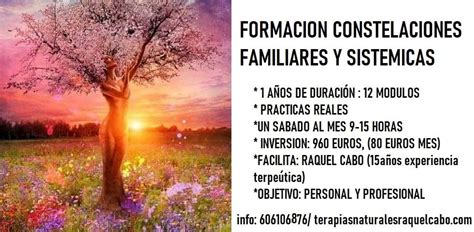 Formacion Constelaciones Familiares Valencia Curso