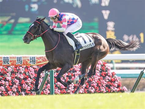 【中山5r新馬戦結果】ブービー人気のポケットシンデレラが逃げ切って新馬勝ち 競馬ニュース