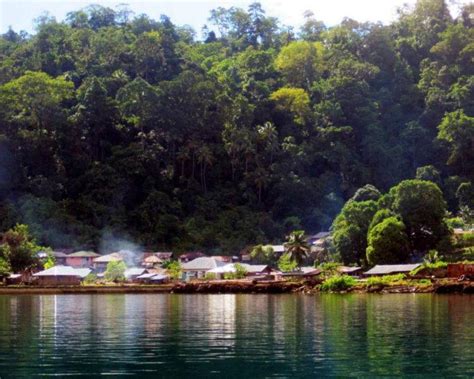 Pesona Budaya Buru Selatan Maluku Burung Garuda Desa Tifu Buru Selatan