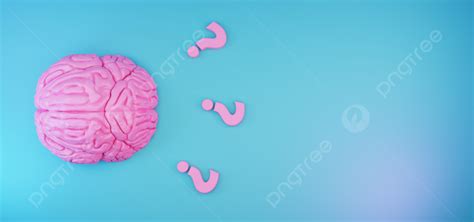 Pink Human Brain Anatomical Model 3d Illustration Rendering Background