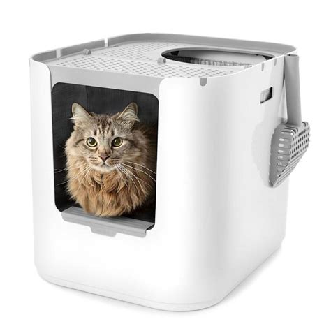 Extra Large Litter Box For Big Cats Big Litter Box Modkat