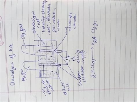 Draw A Neat And Labelled Diagram Of Electrolytic Cell For The