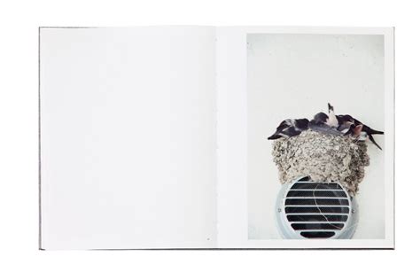 Publication Des Oiseaux On Birds Rinko Kawauchi Rosegallery