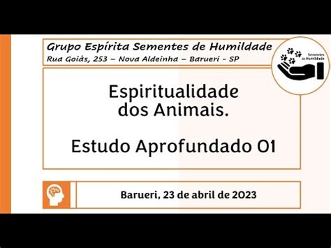 Curso Espiritualidade Dos Animais Aula Youtube