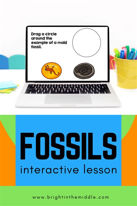 7 Ways To Teach The Types Of Fossils With The Wow Factor Bright In