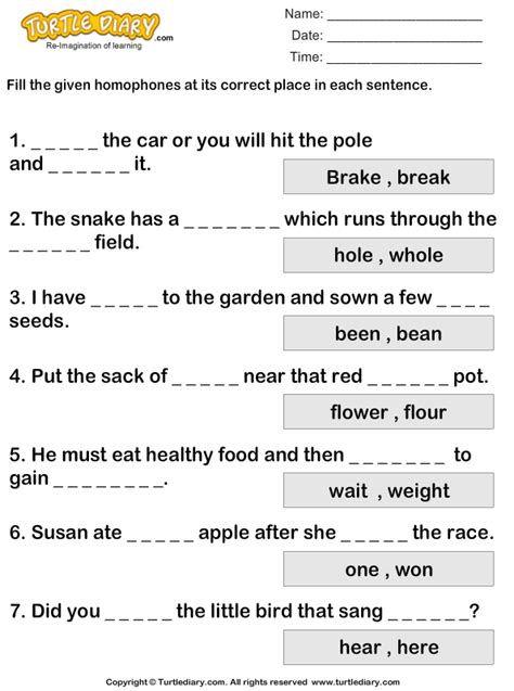 Homophone Complete The Sentence Turtle Diary Worksheet