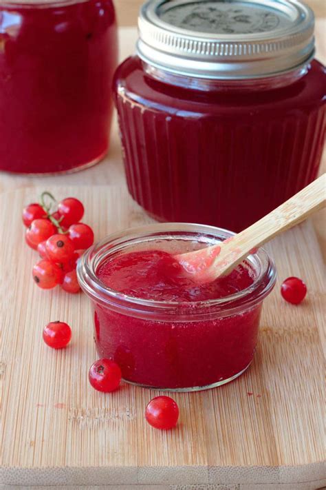 Easy Red Currant Jelly Recipe Without Pectin Vital Fair Living