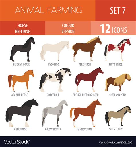 Horse breeding icon set farm animal flat design Vector Image