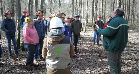 Graine De Pefc Formation La Gestion Durable De La For T Pefc