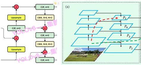Yolov8原理深度解读超级详细yolov8网络轻量化 Csdn博客