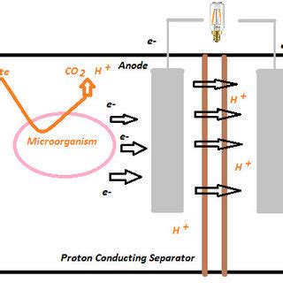 General Layout of a Two Chambered Microbial Fuel Cell Microbial Fuel ...