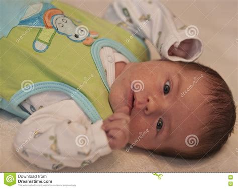 Newborn Baby Resting Picture Image 7770698