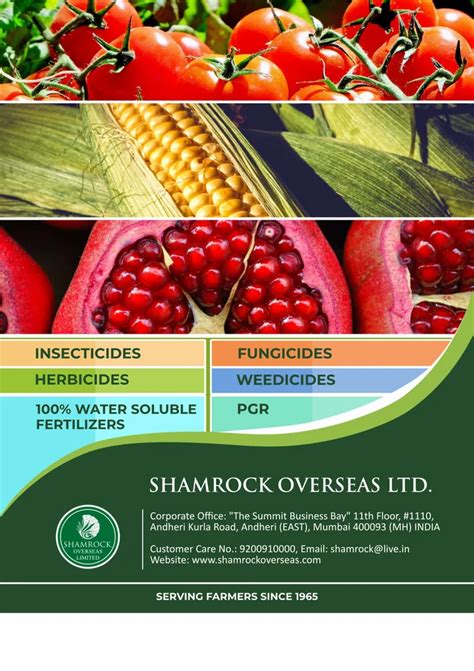 M45 Mancozeb 75 Wp Fungicide 1 Kg Packaging Type Packet At Rs 735