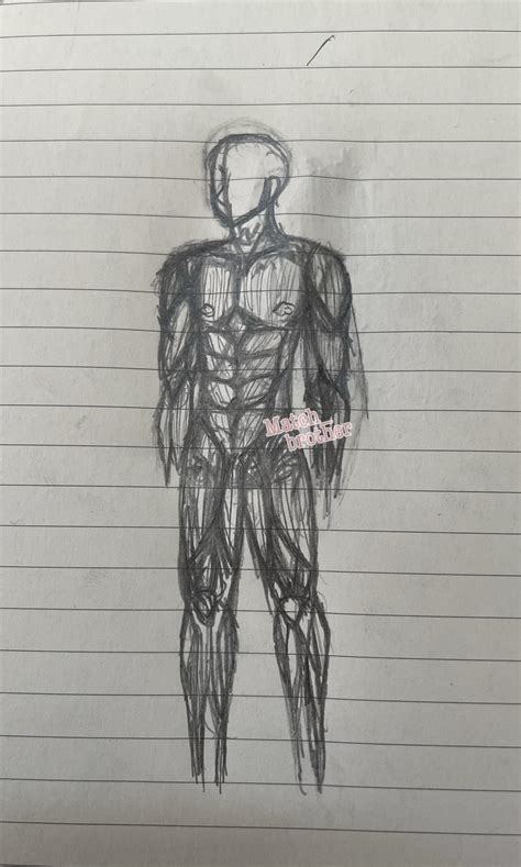 (beginer) i tried drawing muscle anatomy from memory for the first time ...