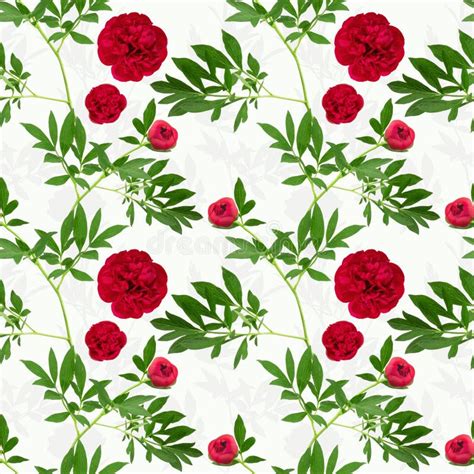 Vector Floral Seamless Pattern Of Burgundy Peonies With Leaves On A